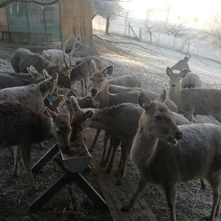 S' Kellerstoeckl Apartmán *