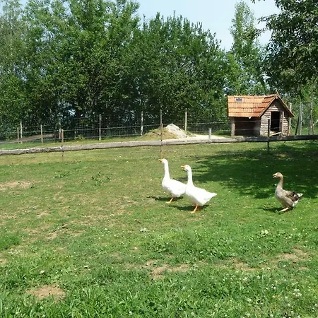 S' Kellerstoeckl Apartmán *