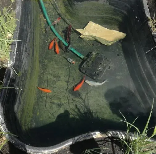 公寓 S' Kellerstoeckl