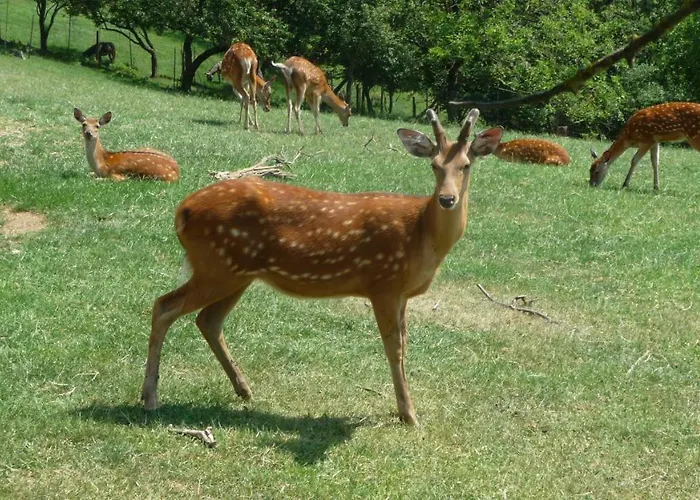 S' Kellerstoeckl * Fehring