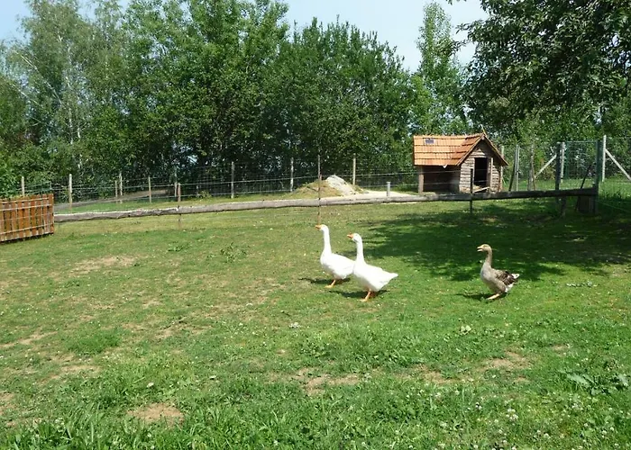 S' Kellerstoeckl شقة *